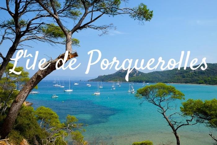 Superbe Logement Au Bord Des Plages Toulon Bagian luar foto