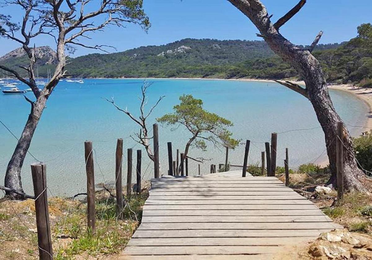 Superbe Logement Au Bord Des Plages Toulon Bagian luar foto